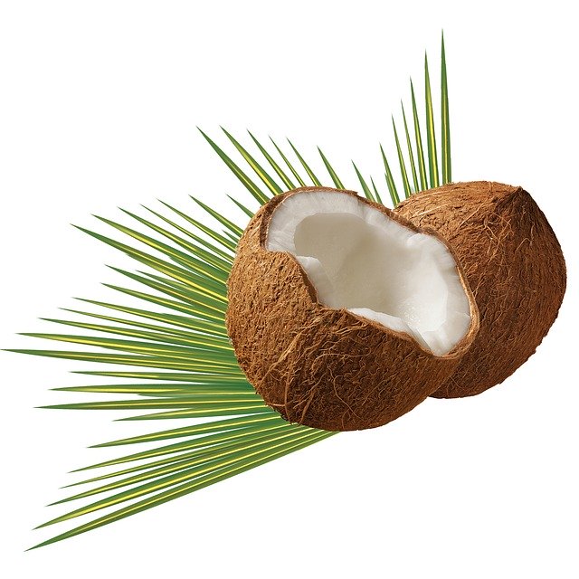 Week 31 Pregnancy- Baby Size of A Coconut